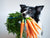 
                dog eating carrots
              