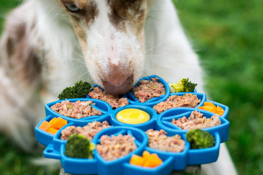 Fresh Food for Dogs: The Ultimate Collection of Healthy Dog Food Delivery Options