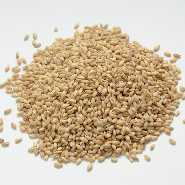 Pearl barley outlet for dogs