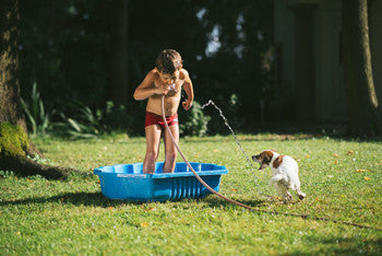 Tips to Keep Your Dog Safe During Heatwaves