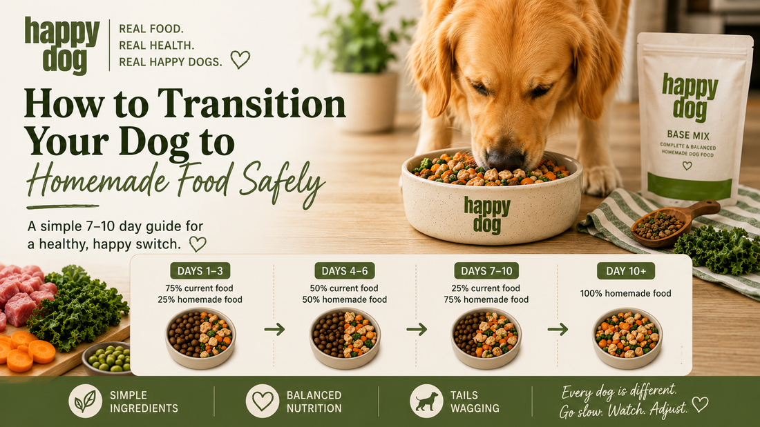 How to Transition Your Dog to Homemade Food Safely