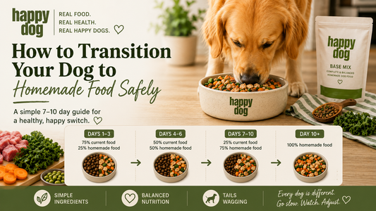 How to Transition Your Dog to Homemade Food Safely