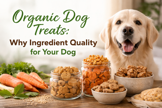 organic dog treats